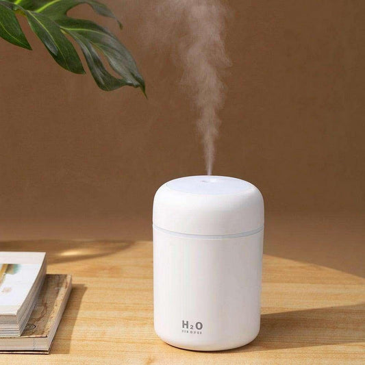Portable Mini Humidifier, Colorful, Cool Mist, USB Powered.