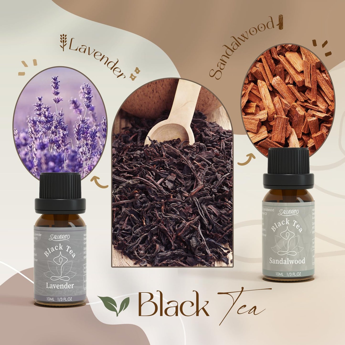SALUBRITO Clean Fragrance Oils Set