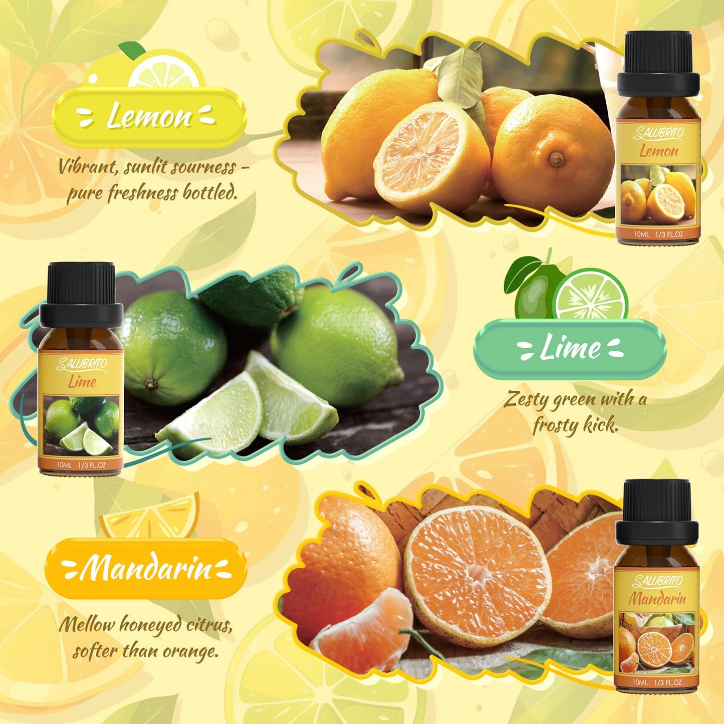 SALUBRITO Clean Fragrance Oils Set