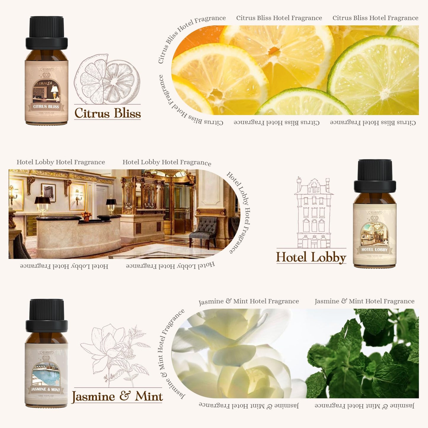 SALUBRITO Clean Fragrance Oils Set