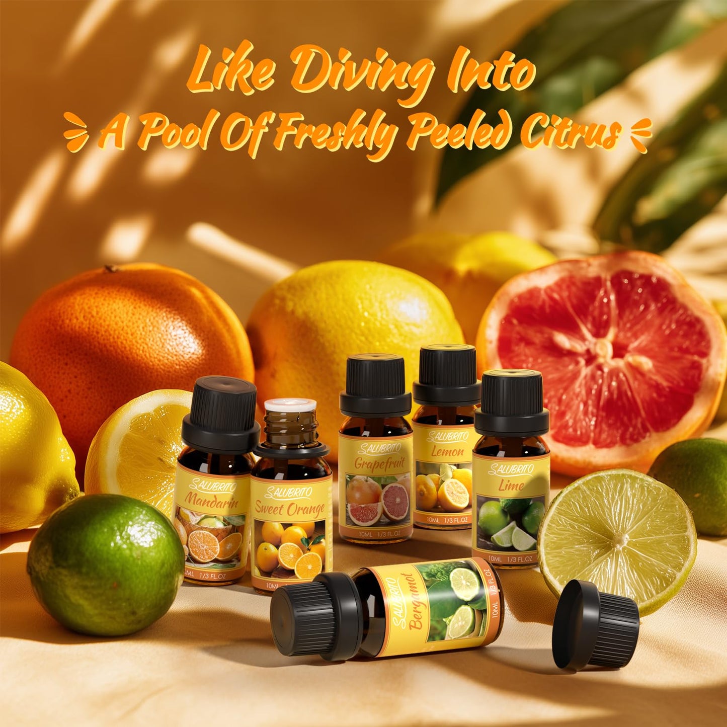 SALUBRITO Clean Fragrance Oils Set