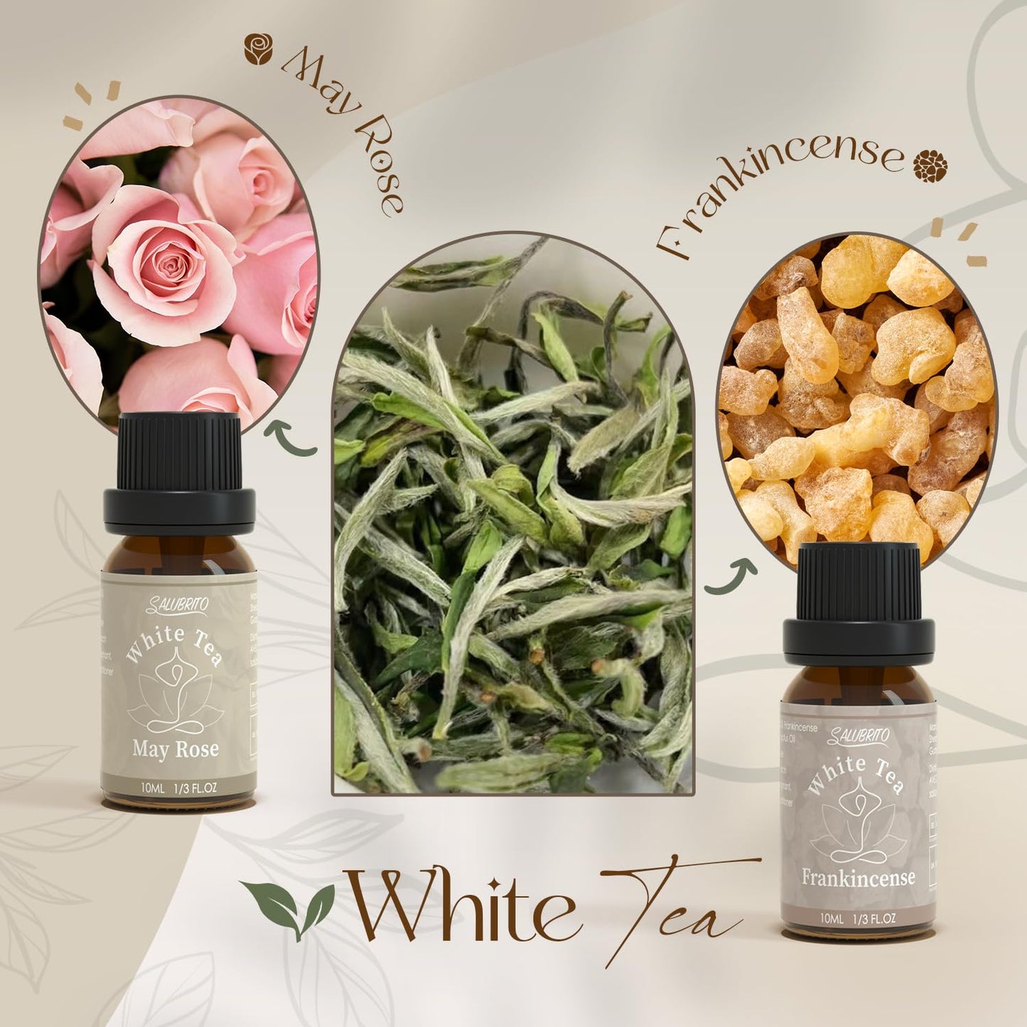 SALUBRITO Clean Fragrance Oils Set