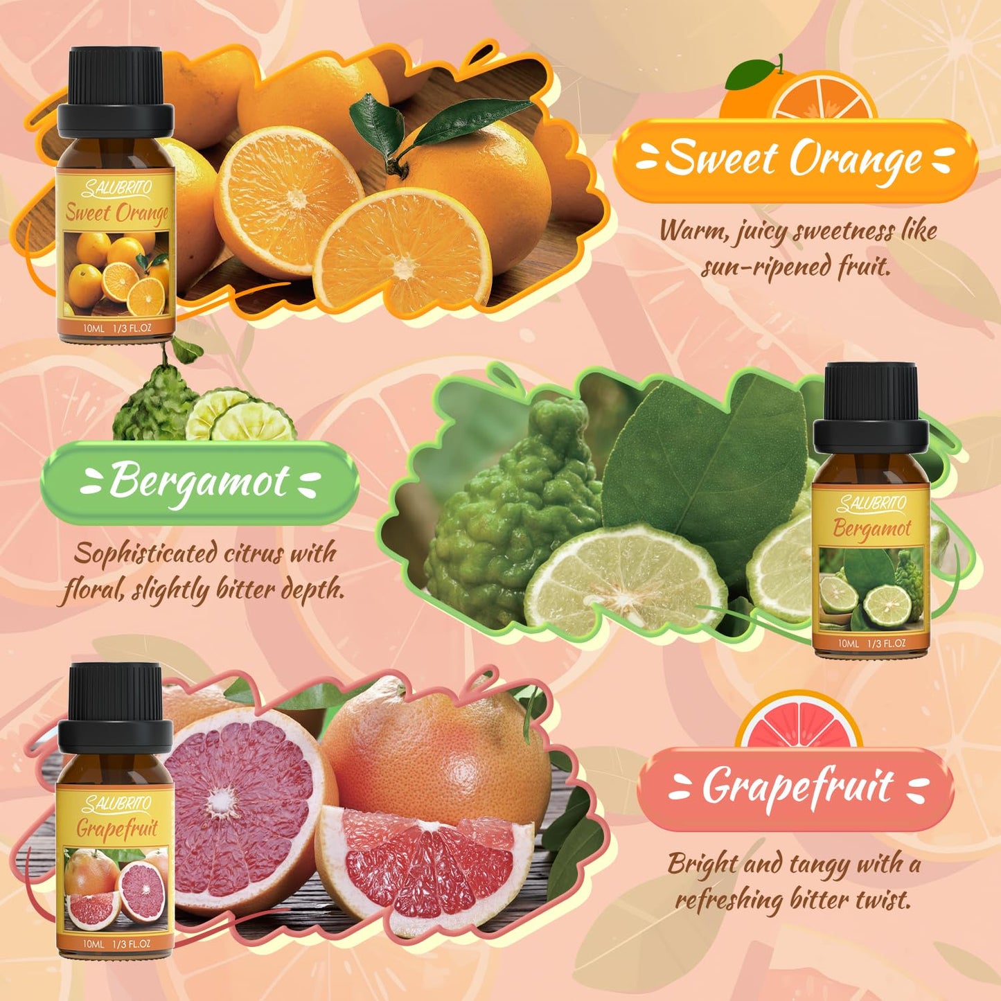 SALUBRITO Clean Fragrance Oils Set