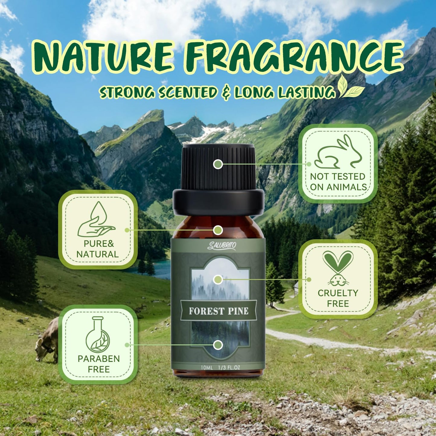 SALUBRITO Clean Fragrance Oils Set
