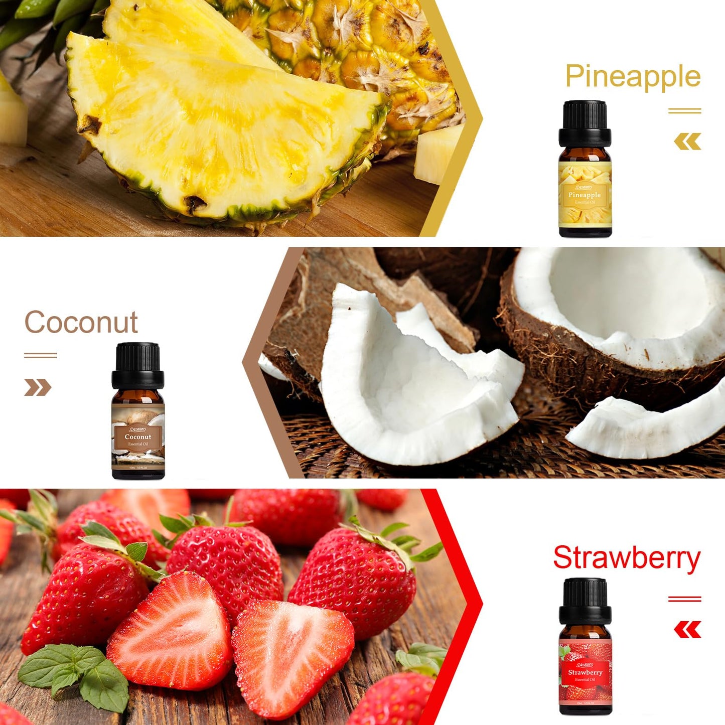 SALUBRITO Clean Fragrance Oils Set