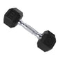 CAP Barbell 10 LB Coated Hex Dumbbell Weight Pair with Black Handle