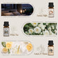 SALUBRITO Clean Fragrance Oils Set