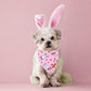 ADOGGYGO Halloween Dog Bandana