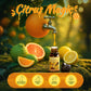 SALUBRITO Clean Fragrance Oils Set