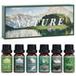 SALUBRITO Clean Fragrance Oils Set
