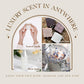 SALUBRITO Clean Fragrance Oils Set