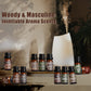 SALUBRITO Clean Fragrance Oils Set