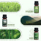 SALUBRITO Clean Fragrance Oils Set