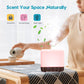 Aromatherapy Diffuser & Diffusers for Home 300ml