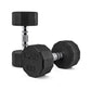 CAP Barbell 10 LB Coated Hex Dumbbell Weight Pair with Black Handle
