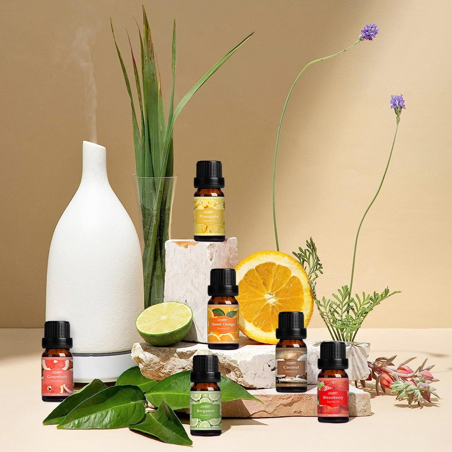 SALUBRITO Clean Fragrance Oils Set