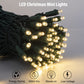 Minetom 25FT Halloween Purple String Lights