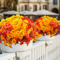 Grunyia 16 PCS Outdoor Fall Artificial Flower