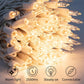 Minetom 25FT Halloween Purple String Lights