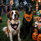 2pcs Reversible Pumpkin & Ghost Scarves for Medium/Large Dogs