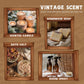 SALUBRITO Clean Fragrance Oils Set