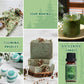 SALUBRITO Clean Fragrance Oils Set