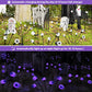 BeHiller 2-Pack Solar Halloween Eyeball Lights