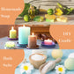 SALUBRITO Clean Fragrance Oils Set