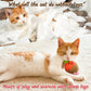 MALLMALL6 Halloween Catnip Toys – 5pcs Pumpkin Teething Set for Kittens & Cats