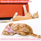 MALLMALL6 Halloween Catnip Toys – 5pcs Pumpkin Teething Set for Kittens & Cats