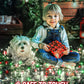 Brightown Battery Operated Halloween Lights Outdoor