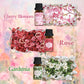 SALUBRITO Clean Fragrance Oils Set