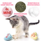 MALLMALL6 Halloween Catnip Toys – 5pcs Pumpkin Teething Set for Kittens & Cats