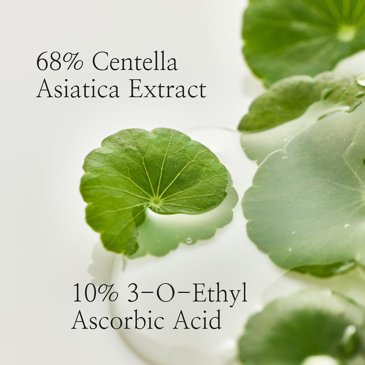 Vitamin C Centella Dark Spot Fine Lines Pigmentation Correcting Serum