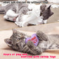 MALLMALL6 Halloween Catnip Toys – 5pcs Pumpkin Teething Set for Kittens & Cats