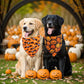 ADOGGYGO Halloween Dog Bandana