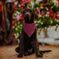 ADOGGYGO Halloween Dog Bandana