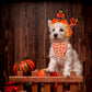 ADOGGYGO Halloween Dog Bandana