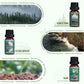 SALUBRITO Clean Fragrance Oils Set