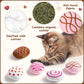 MALLMALL6 Halloween Catnip Toys – 5pcs Pumpkin Teething Set for Kittens & Cats