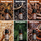 SALUBRITO Clean Fragrance Oils Set