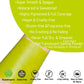CCbeauty Witch Green Face Paint Stick, Face Painting Kit