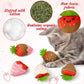 MALLMALL6 Halloween Catnip Toys – 5pcs Pumpkin Teething Set for Kittens & Cats