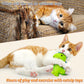 MALLMALL6 Halloween Catnip Toys – 5pcs Pumpkin Teething Set for Kittens & Cats