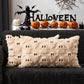 DFXSZ Halloween Ghost Pillow Covers – Set of 2